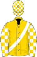 Gold, gold and white sash, gold and white checked sleeves and cap