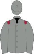 Grey, grey sleeves, maroon epaulets, grey cap