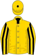 Gold, black stripes on sleeves, gold cap with black button