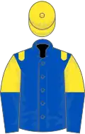 Royal blue, yellow epaulets, yellow and royal blue halved sleeves, yellow cap