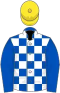 Royal blue and white check, royal blue sleeves, yellow cap