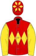 Red Body, Yellow Triple Diamond, Yellow sleeves, Red and Yellow Hooped Cap