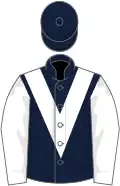 Dark blue, white chevron and sleeves