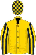 Gold, dark blue striped sleeves, check cap