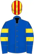 Royal blue, two yellow armlets, red and yellow striped cap