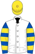White, Royal Blue and Yellow hooped sleeves, Yellow cap