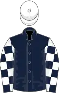 Dark blue, dark blue and white check sleeves, white cap