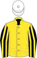 Yellow, black and yellow striped sleeves, white cap