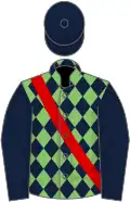 Light green, dark blue diamonds, dark blue sleeves, dark blue cap
