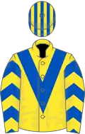 Yellow, royal blue chevron, royal blue chevrons on sleeves, striped cap