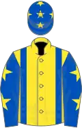 Yellow, royal blue braces, royal blue sleeves, yellow stars and stars on cap