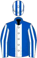 Royal blue, white stripe, striped sleeves and cap