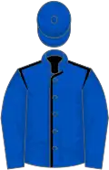 Royal blue, black seams, royal blue sleeves and cap