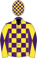 Purple and Yellow check, Yellow sleeves, Purple diabolo