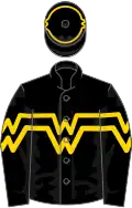 Black, gold chevron hoop, armlets on sleeves,