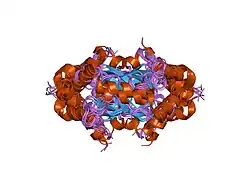 1jas: HsUbc2b