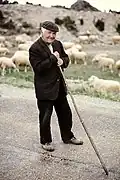 Spanish shepherd