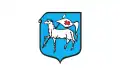 Flag of Piwniczna-Zdrój
