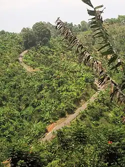Cuesta de Magos is a long, steep, narrow, curvy section of PR-438 that leads down to Río Culebrinas in Magos.