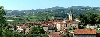 A general view of Thurins
