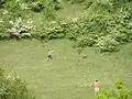 Toy kiting