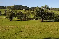 parkland with trees