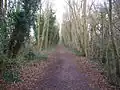 Knapton Cutting