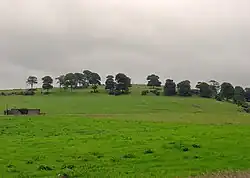 Knockainy Hill