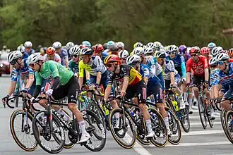 Peloton.