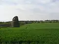 The doocot and field