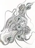 Pierres de Chablis, silverpoint, silver leaf, watercolour, Jeannine Cook