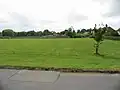 Playing fields