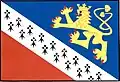 Flag of Plužná