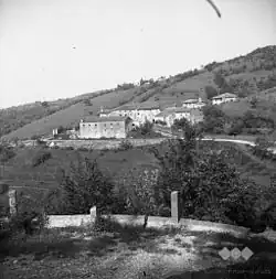Belo in 1953
