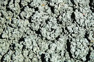 Bentonite