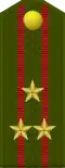 Палкоўнік Palkoŭnik[4] (Belarusian Ground Forces)