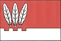 Flag of Pyšel