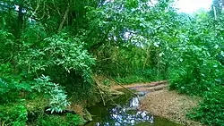 Río de los Negros in Dos Bocas