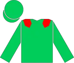 Green racing hat and shirt, with a red bar on each shoulder