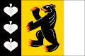 Flag of Ralsko