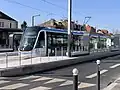 Carle - Darthé