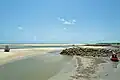 Beach, Raposa