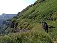 Walking along eastern ridge