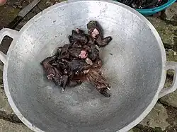 Ready for cooking