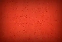 Red rectangle