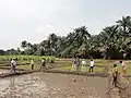 Africa Rice Center staff in Benin, 2011