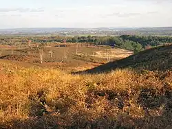 Ash Ranges