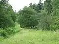 Warburg Nature Reserve