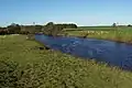 River Ure, Roecliffe