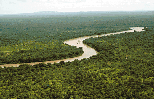Image 53Rainforest ecosystems are rich in biodiversity. This is the Gambia River in Senegal's Niokolo-Koba National Park. (from Ecosystem)